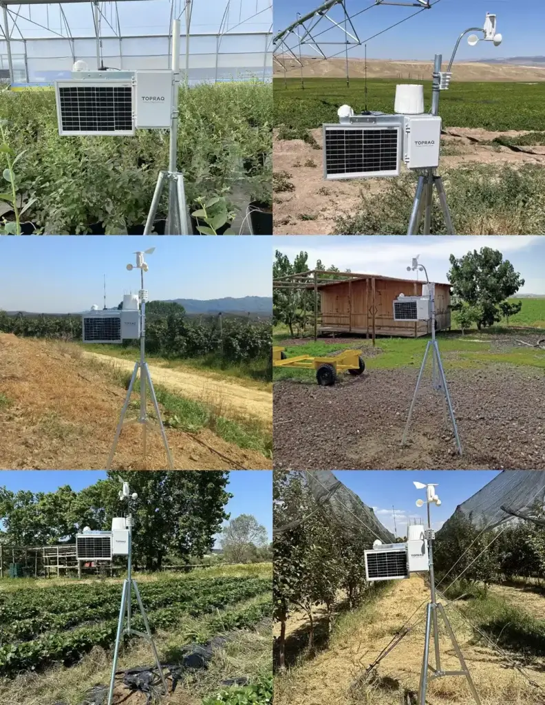 T-Weather field images