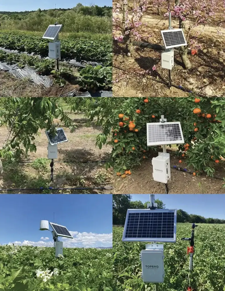 T-Irrigate - Field implementations