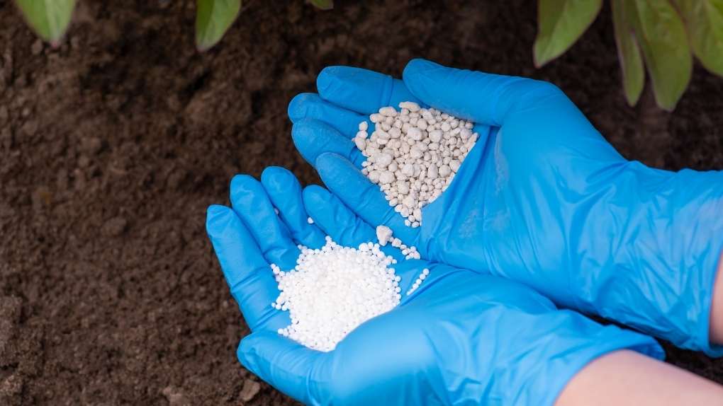 types of fertilizers 